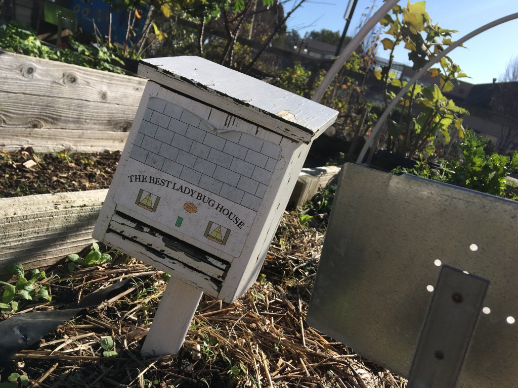 Engage with Worms, Bees, Chickens, and Other&nbsp;Animals