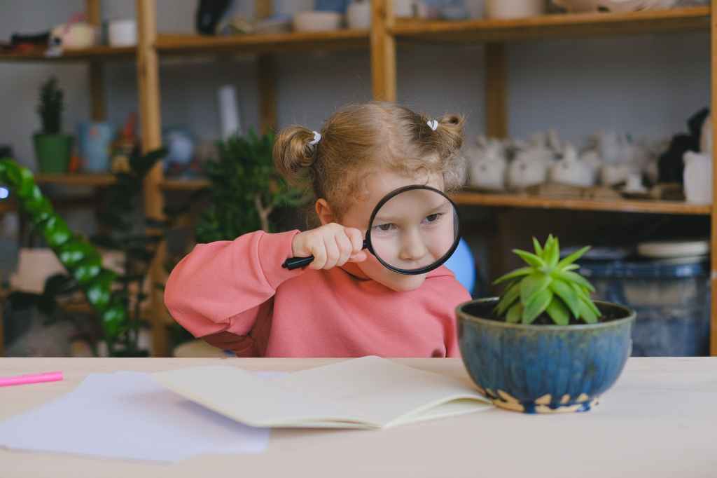Cultivate a Sense of&nbsp;Wonder