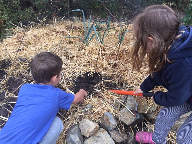 Engage Kids in Meaningful&nbsp;Fitness